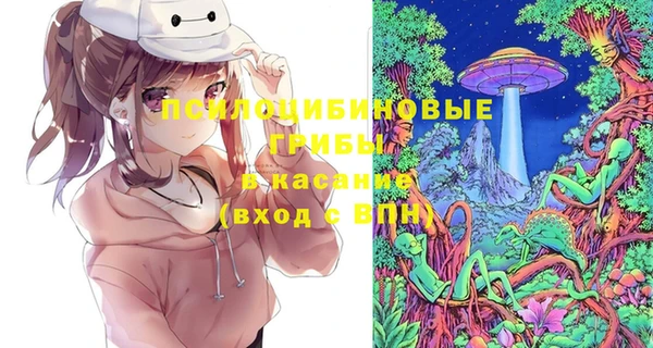 а пвп мука Бородино