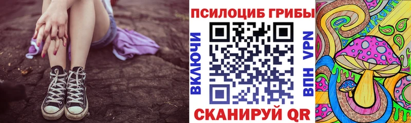 hydra как зайти  мориарти как зайти  Галлюциногенные грибы Cubensis  где продают наркотики  Дагестанские Огни 